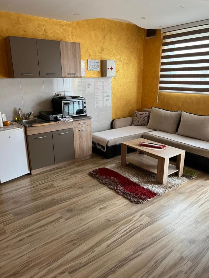 Apartments Vila Brzi & Beka Šabac Exteriér fotografie